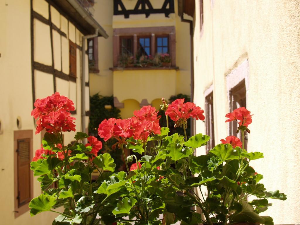 Les Appartements De Louise Riquewihr Exterior foto